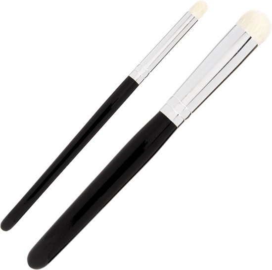 Set of 2 Dry Brushes